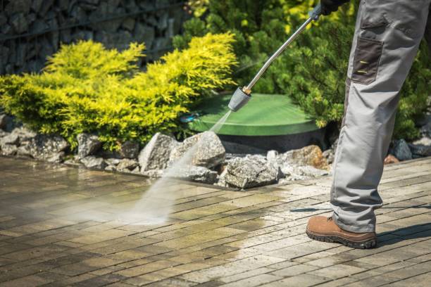 Best Dumpster Area Cleaning  in Buena, NJ